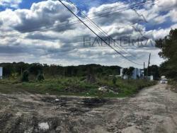#TV-1710 - Terreno para Venta en Túxpam - VZ