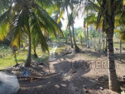 #TV-1705 - Terreno para Venta en Túxpam - VZ