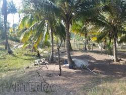 Terreno para Venta en Túxpam - 4
