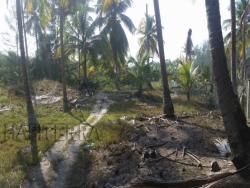 Terreno para Venta en Túxpam - 5