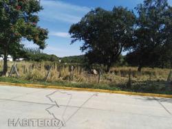Terreno para Venta en Naranjos Amatlán - 5