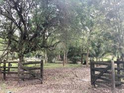 Terreno para Venta en Túxpam - 2
