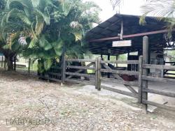 Terreno para Venta en Túxpam - 4