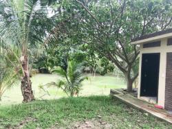 Terreno para Venta en Túxpam - 4