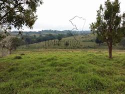 Terreno para Venta en Tamiahua - 5
