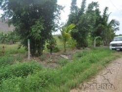 Terreno para Venta en Túxpam - 3