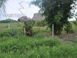 Terreno para Venta en Túxpam - 4