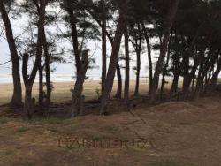 Terreno para Venta en Túxpam - 5