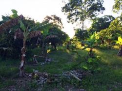 #TV-1435 - Terreno para Venta en Túxpam - VZ