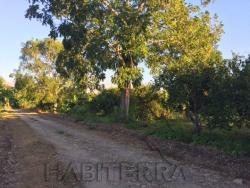 Terreno para Venta en Túxpam - 4