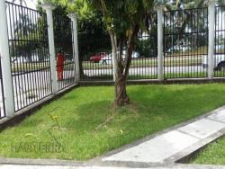 Departamento para Renta en Túxpam - 4