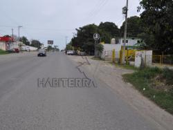#TR-1276 - Terreno para Renta en Túxpam - VZ