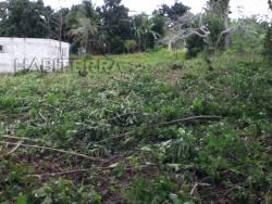 #TV-1179 - Terreno para Venta en Túxpam - VZ