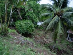 Casa para Venta en Túxpam - 4