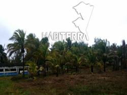 Terreno para Venta en Túxpam - 5