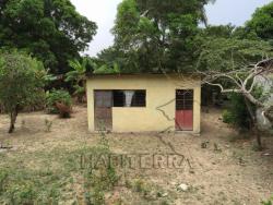#TV-1101 - Terreno para Venta en Túxpam - VZ