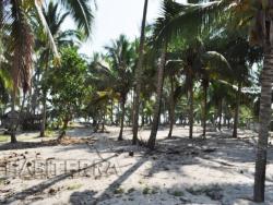 Terreno para Venta en Túxpam - 3
