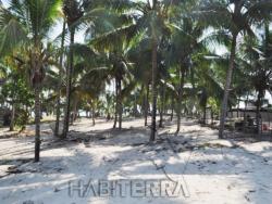 Terreno para Venta en Túxpam - 4