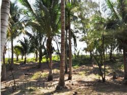 Terreno para Venta en Túxpam - 5