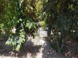Terreno para Venta en Túxpam - 2