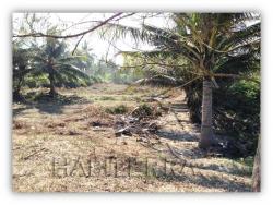 Terreno para Venta en Túxpam - 4