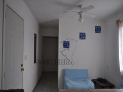 Departamento para Renta en Túxpam - 4