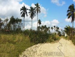 Terreno para Venta en Túxpam - 3