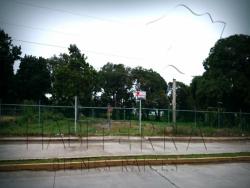 #TR-788 - Terreno para Renta en Túxpam - VZ