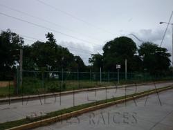 #TR-788 - Terreno para Renta en Túxpam - VZ