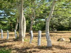 Terreno para Venta en Túxpam - 3