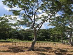 Terreno para Venta en Túxpam - 4