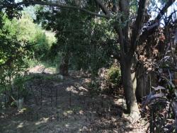 Terreno para Venta en Túxpam - 4