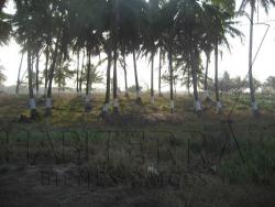 Terreno para Venta en Túxpam - 5