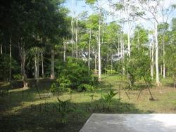 #CV-610 - Casa para Venta en Túxpam - VZ
