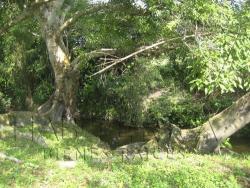 Casa para Venta en Túxpam - 5