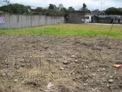 Terreno para Renta en Túxpam - 3