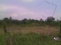 Terreno para Venta en Túxpam - 5