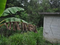 #T-714 - Terreno para Venta en Túxpam - VZ