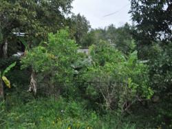 #T-714 - Terreno para Venta en Túxpam - VZ