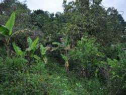 Terreno para Venta en Túxpam - 5